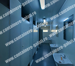 containere de vanzare Dambovita